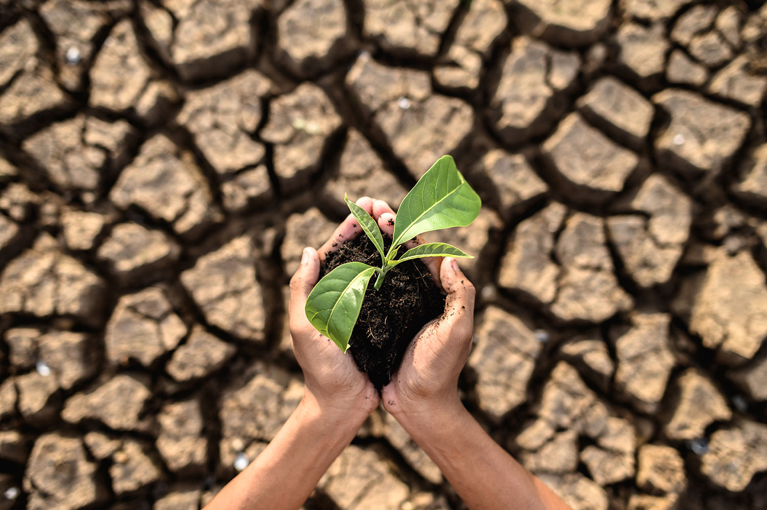 Javni poziv za prijavu štete na imovini (poljoprivrednim kulturama) oštećenika uzrokovane prirodnom nepogodom zbog suše